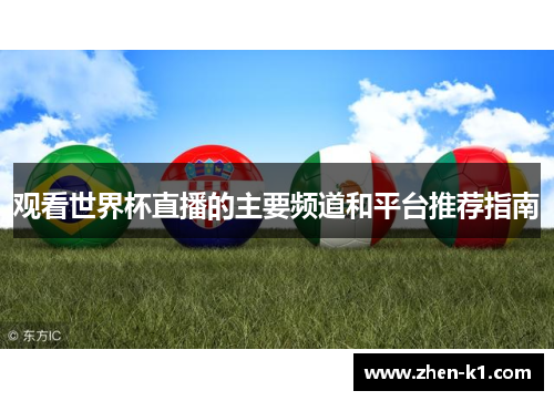 观看世界杯直播的主要频道和平台推荐指南