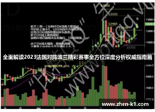全面解读2023法国对阵波兰精彩赛事全方位深度分析权威指南篇