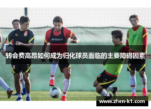 转会费高昂如何成为归化球员面临的主要障碍因素 转会费高昂如何成为归化球员面临的主要障碍因素