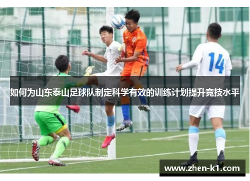 如何为山东泰山足球队制定科学有效的训练计划提升竞技水平