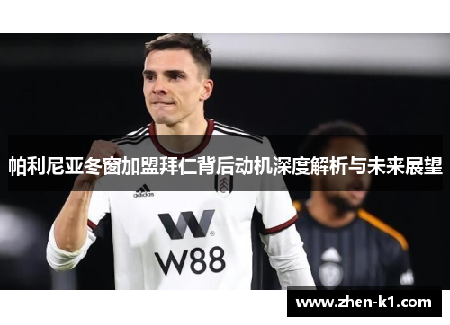 帕利尼亚冬窗加盟拜仁背后动机深度解析与未来展望