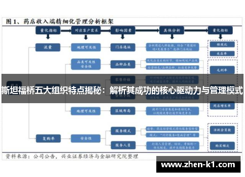 斯坦福桥五大组织特点揭秘：解析其成功的核心驱动力与管理模式